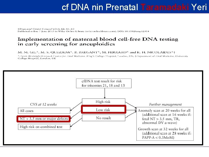 cf DNA nin Prenatal Taramadaki Yeri 