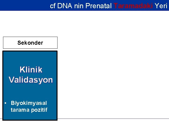 cf DNA nin Prenatal Taramadaki Yeri Sekonder • 35 yaş • USG de fetal