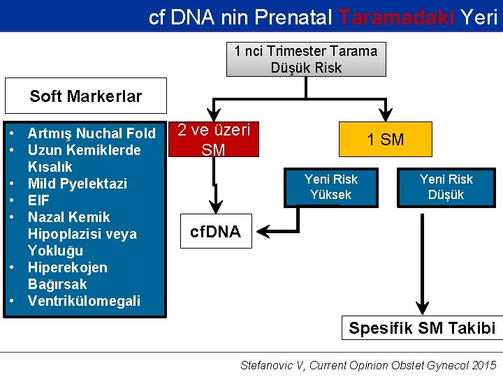 cf DNA nin Prenatal Taramadaki Yeri 1 nci Trimester Tarama Düşük Risk Soft Markerlar