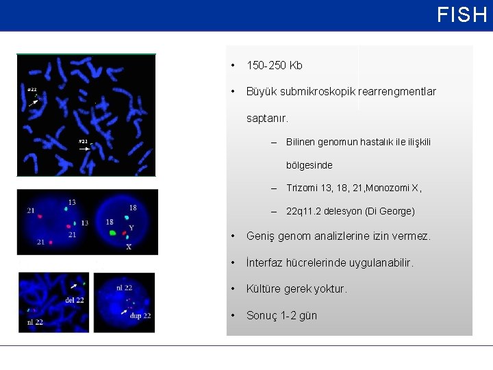 FISH • 150 -250 Kb • Büyük submikroskopik rearrengmentlar saptanır. – Bilinen genomun hastalık