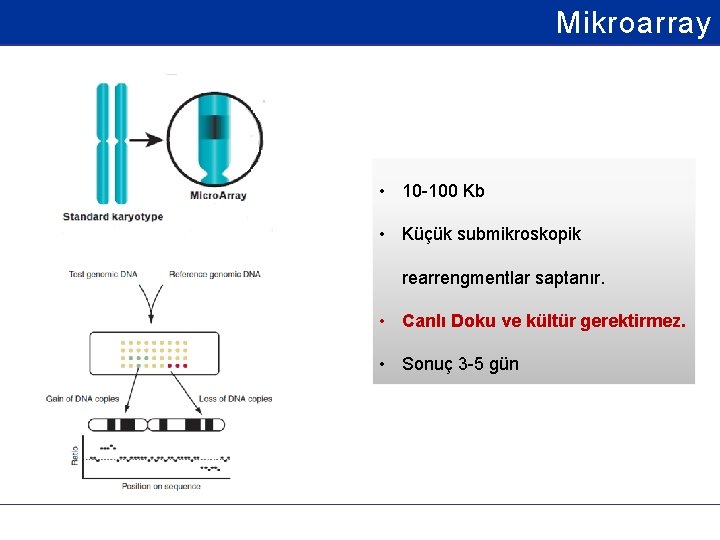 Mikroarray • 10 -100 Kb • Küçük submikroskopik rearrengmentlar saptanır. • Canlı Doku ve