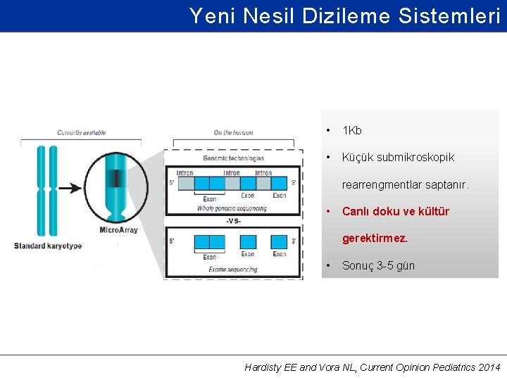 Yeni Nesil Dizileme Sistemleri • 1 Kb • Küçük submikroskopik rearrengmentlar saptanır. • Canlı