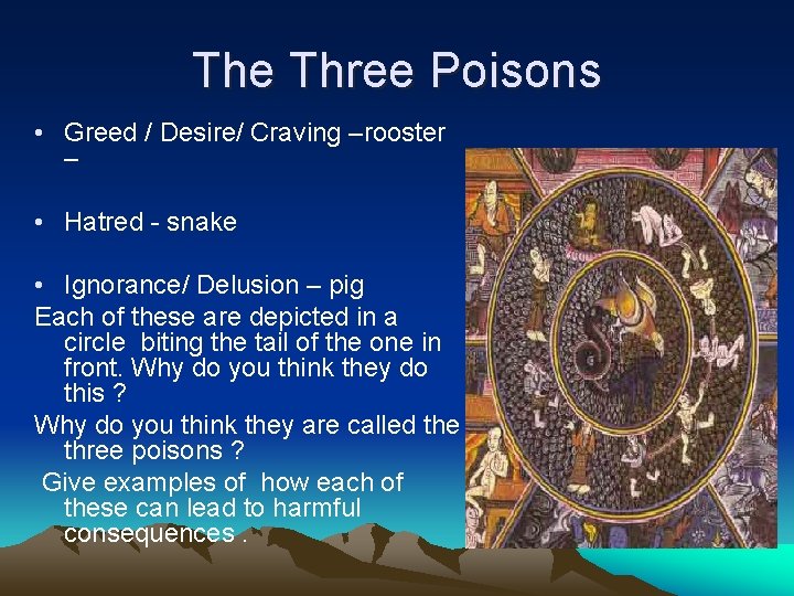 The Three Poisons • Greed / Desire/ Craving –rooster – • Hatred - snake