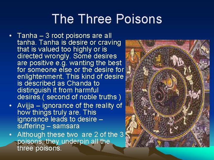 The Three Poisons • Tanha – 3 root poisons are all tanha. Tanha is