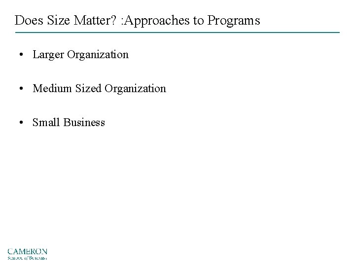 Does Size Matter? : Approaches to Programs • Larger Organization • Medium Sized Organization