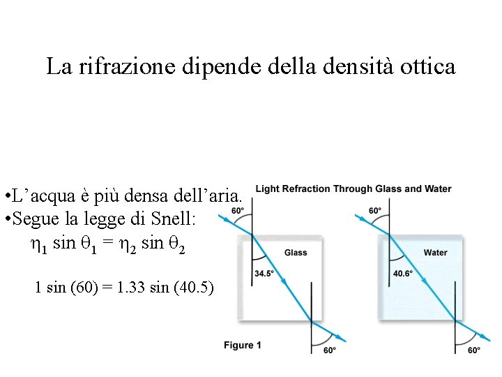 La rifrazione dipende della densità ottica • L’acqua è più densa dell’aria. • Segue