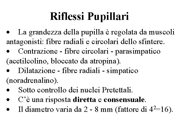 Riflessi Pupillari · La grandezza della pupilla è regolata da muscoli antagonisti: fibre radiali