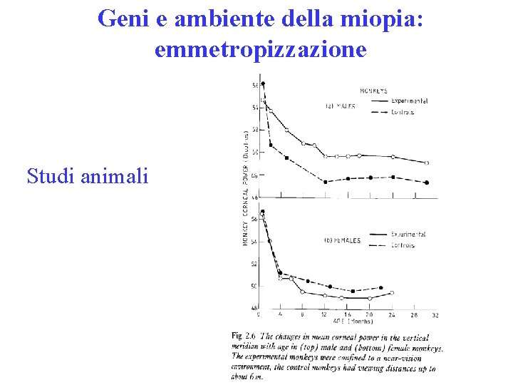 Geni e ambiente della miopia: emmetropizzazione Studi animali 