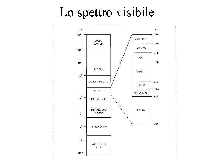 Lo spettro visibile 