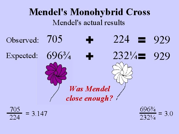 Mendel's Monohybrid Cross Mendel's actual results Observed: Expected: 705 696¾ + + 224 =