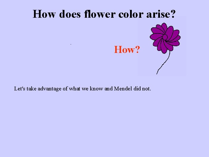 How does flower color arise? How? Let's take advantage of what we know and
