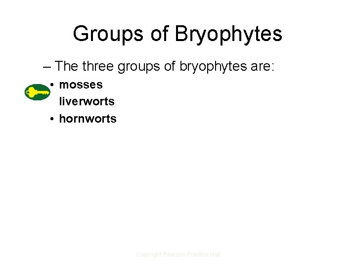 Groups of Bryophytes – The three groups of bryophytes are: • mosses • liverworts Groups of Bryophytes – The three groups of bryophytes are: • mosses • liverworts