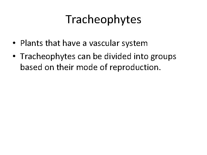 Tracheophytes • Plants that have a vascular system • Tracheophytes can be divided into Tracheophytes • Plants that have a vascular system • Tracheophytes can be divided into