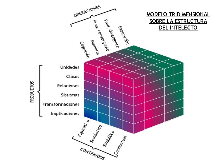 MODELO TRIDIMENSIONAL SOBRE LA ESTRUCTURA DEL INTELECTO 