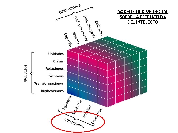 MODELO TRIDIMENSIONAL SOBRE LA ESTRUCTURA DEL INTELECTO 