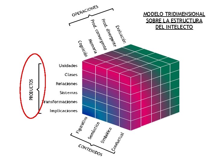 MODELO TRIDIMENSIONAL SOBRE LA ESTRUCTURA DEL INTELECTO 