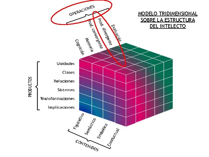 MODELO TRIDIMENSIONAL SOBRE LA ESTRUCTURA DEL INTELECTO 