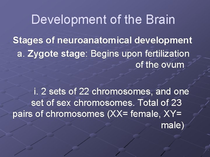 Development of the Brain Stages of neuroanatomical development a. Zygote stage: Begins upon fertilization