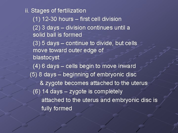 ii. Stages of fertilization (1) 12 -30 hours – first cell division (2) 3