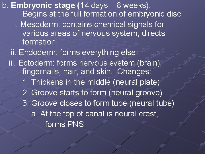 b. Embryonic stage (14 days – 8 weeks): Begins at the full formation of