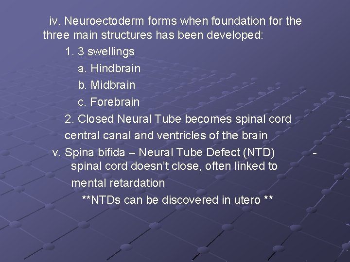 iv. Neuroectoderm forms when foundation for the three main structures has been developed: 1.