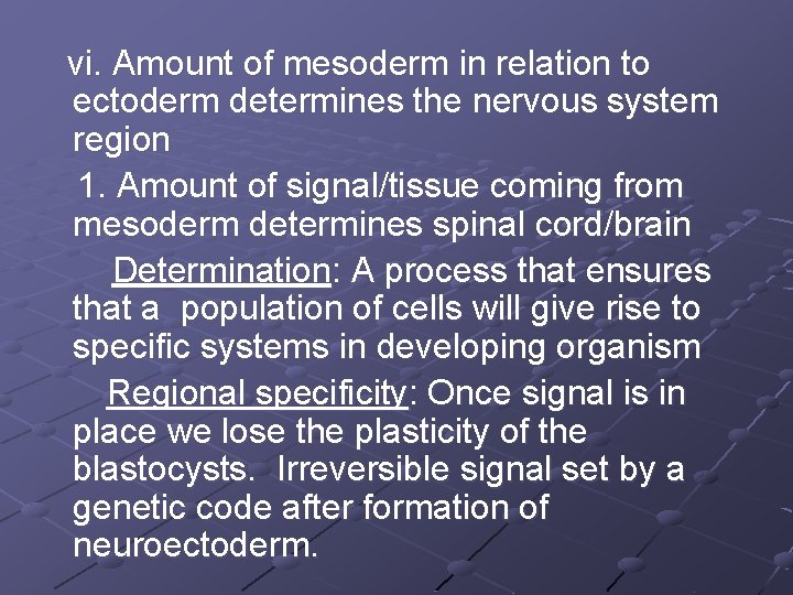 vi. Amount of mesoderm in relation to ectoderm determines the nervous system region 1.