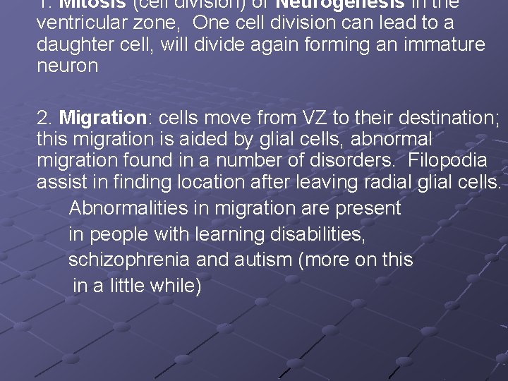 1. Mitosis (cell division) or Neurogenesis in the ventricular zone, One cell division can