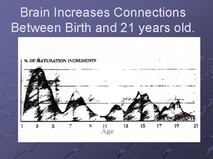 Brain Increases Connections Between Birth and 21 years old. Age 