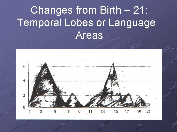 Changes from Birth – 21: Temporal Lobes or Language Areas Age 