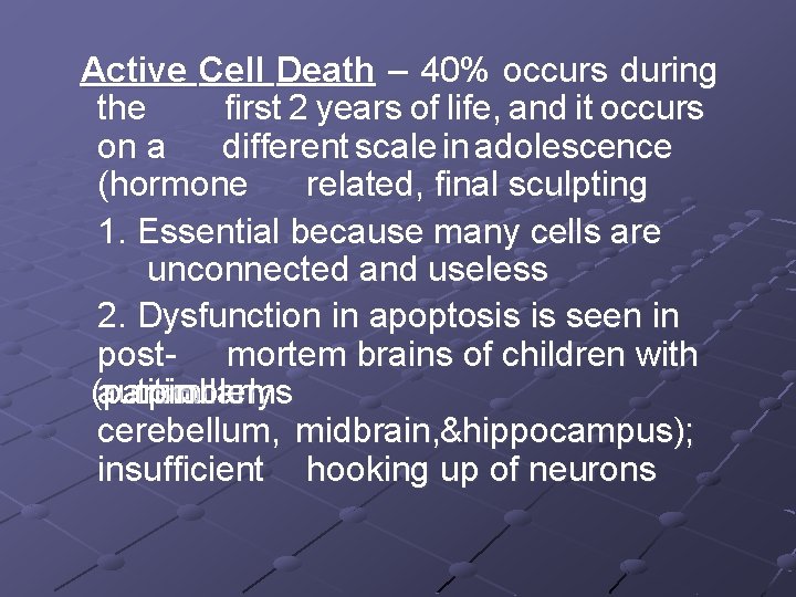 Active Cell Death – 40% occurs during the first 2 years of life, and
