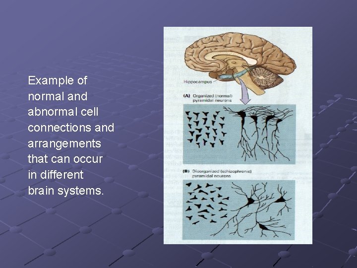 Example of normal and abnormal cell connections and arrangements that can occur in different