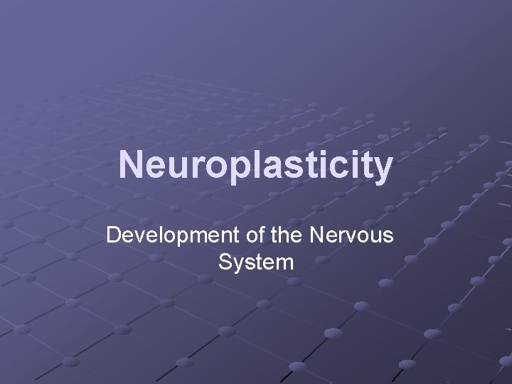 Neuroplasticity Development of the Nervous System 