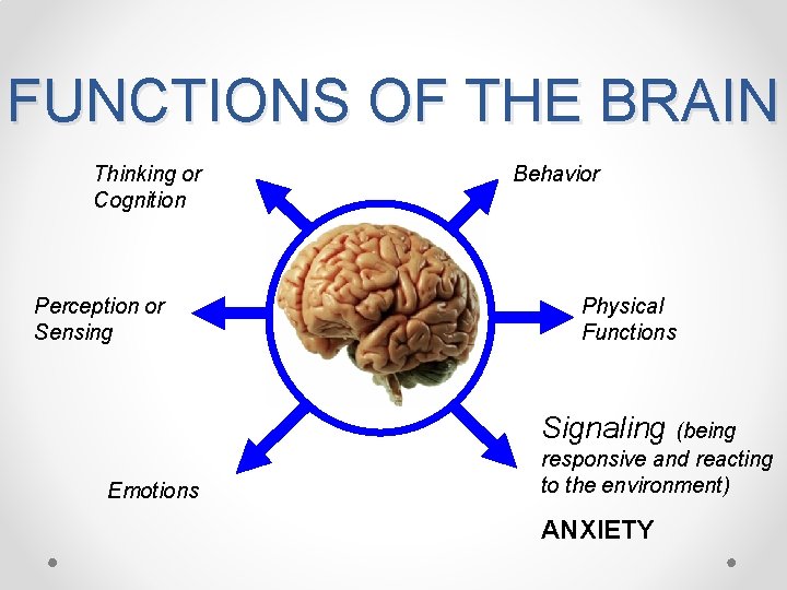 FUNCTIONS OF THE BRAIN Thinking or Cognition Perception or Sensing Behavior Physical Functions Signaling