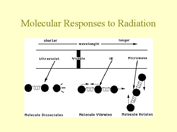 Molecular Responses to Radiation 