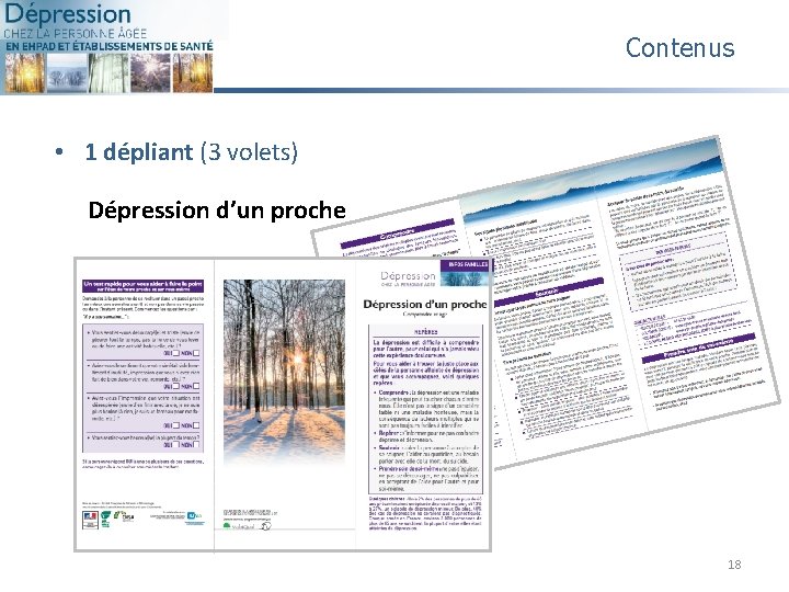 Contenus • 1 dépliant (3 volets) Dépression d’un proche 18 