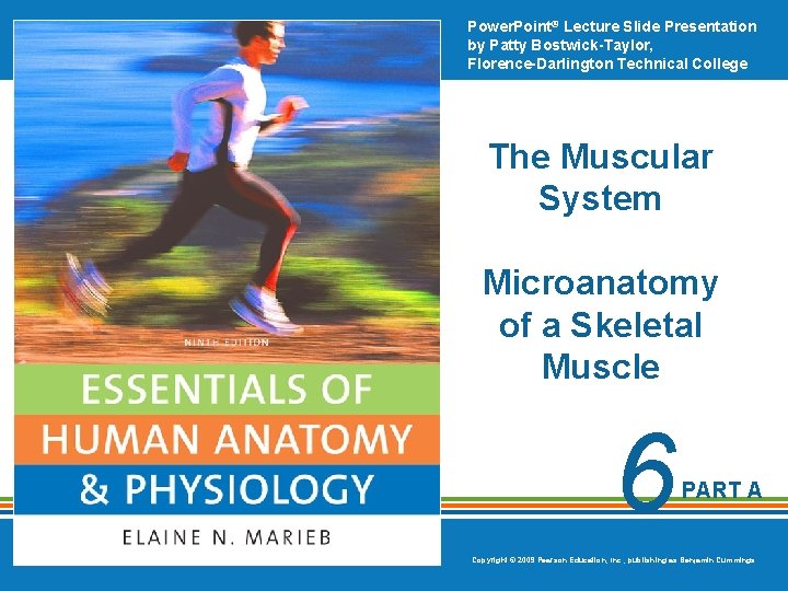 Power. Point® Lecture Slide Presentation by Patty Bostwick-Taylor, Florence-Darlington Technical College The Muscular System