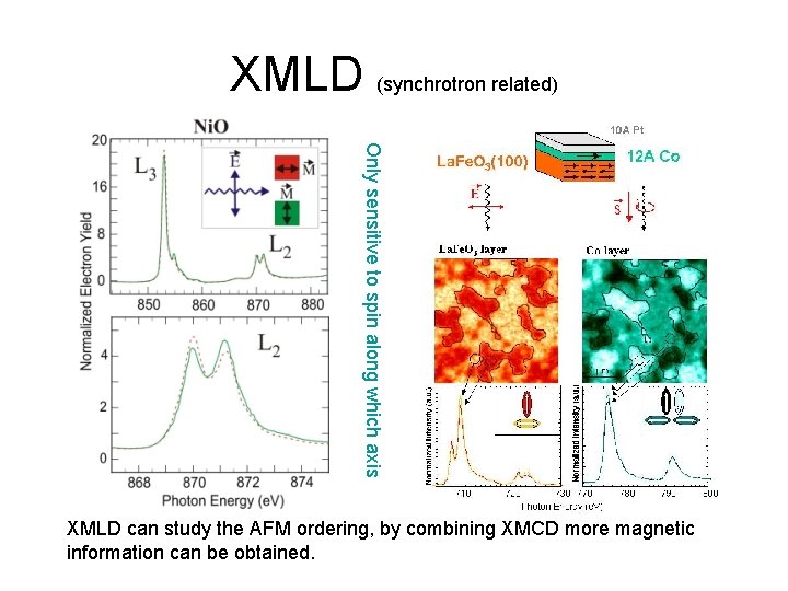 XMLD (synchrotron related) Only sensitive to spin along which axis XMLD can study the