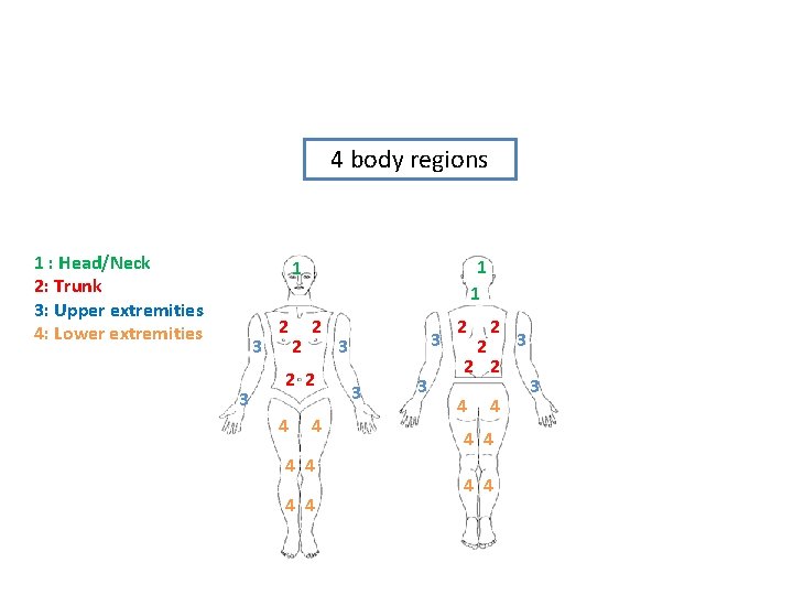4 body regions 1 : Head/Neck 2: Trunk 3: Upper extremities 4: Lower extremities
