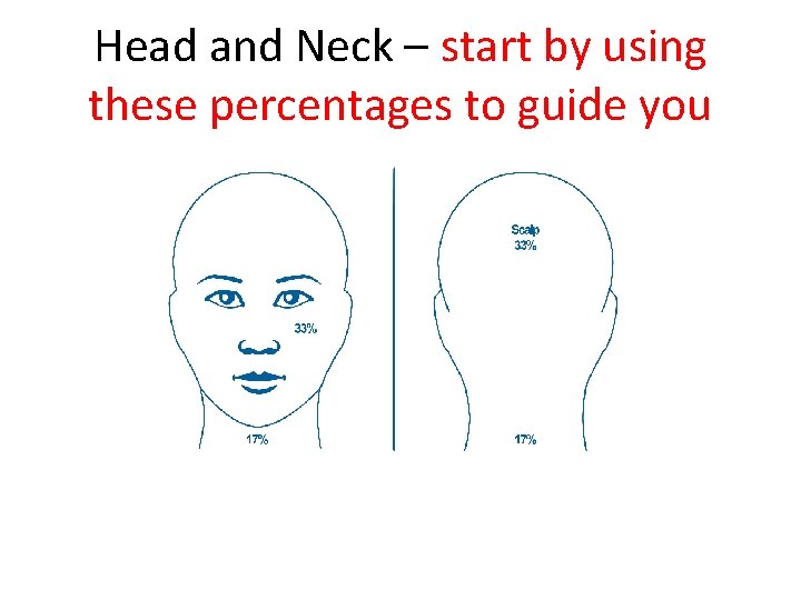 Head and Neck – start by using these percentages to guide you 