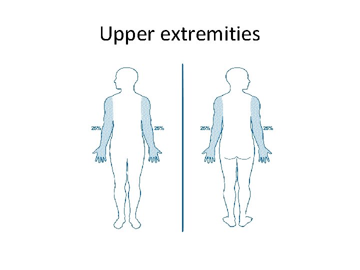 Upper extremities 