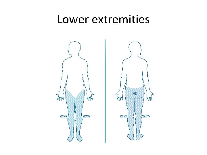 Lower extremities 