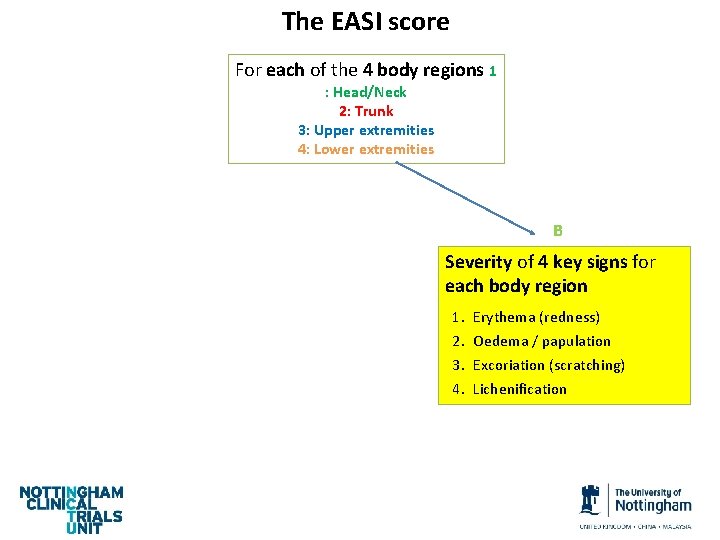 The EASI score For each of the 4 body regions 1 : Head/Neck 2: