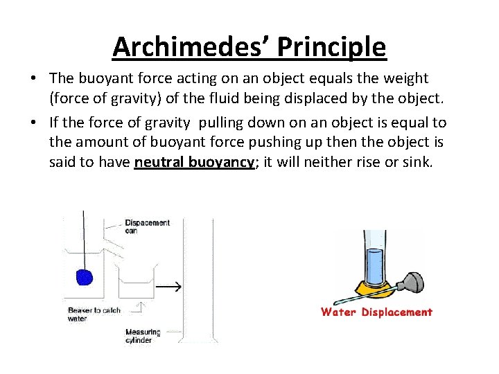 Archimedes’ Principle • The buoyant force acting on an object equals the weight (force
