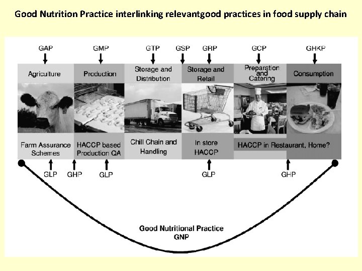 Good Nutrition Practice interlinking relevantgood practices in food supply chain 