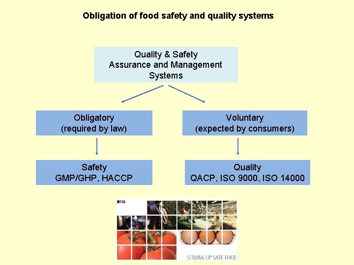 Obligation of food safety and quality systems Quality & Safety Assurance and Management Systems