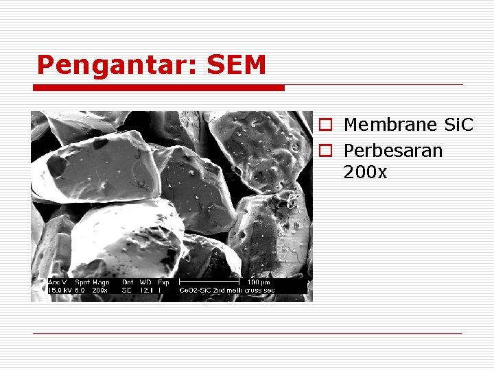 Pengantar: SEM o Membrane Si. C o Perbesaran 200 x Pengantar: SEM o Membrane Si. C o Perbesaran 200 x