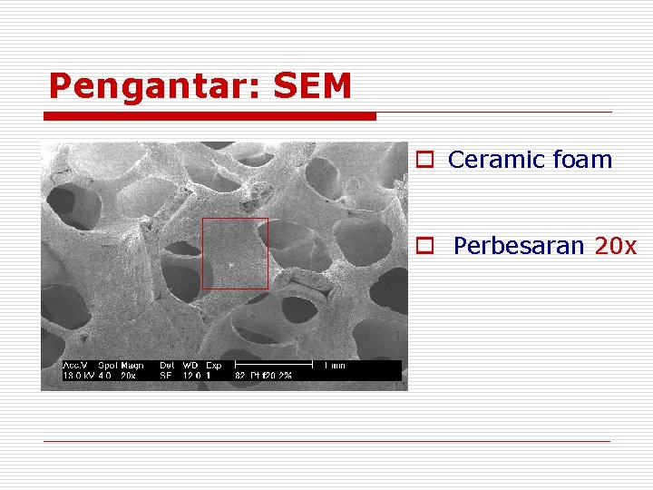 Pengantar: SEM o Ceramic foam o Perbesaran 20 x Pengantar: SEM o Ceramic foam o Perbesaran 20 x