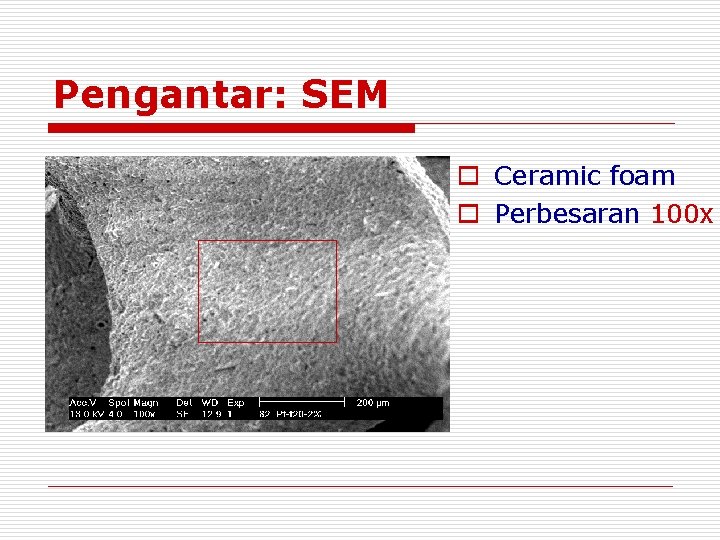 Pengantar: SEM o Ceramic foam o Perbesaran 100 x Pengantar: SEM o Ceramic foam o Perbesaran 100 x