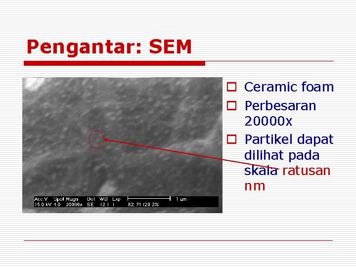 Pengantar: SEM o Ceramic foam o Perbesaran 20000 x o Partikel dapat dilihat pada Pengantar: SEM o Ceramic foam o Perbesaran 20000 x o Partikel dapat dilihat pada