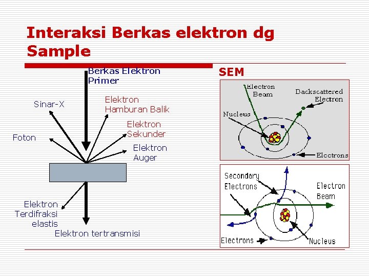Interaksi Berkas elektron dg Sample Berkas Elektron Primer Sinar-X Foton Elektron Hamburan Balik Elektron Interaksi Berkas elektron dg Sample Berkas Elektron Primer Sinar-X Foton Elektron Hamburan Balik Elektron
